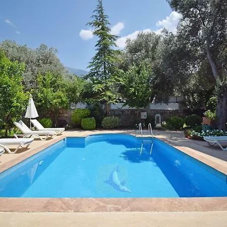 Timelettings Ottoman فيلة أولدينيس
